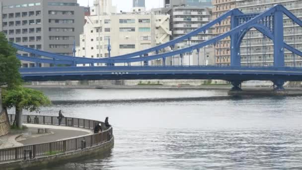 Tokyo Nun Sumida Nehri Manzarası — Stok video