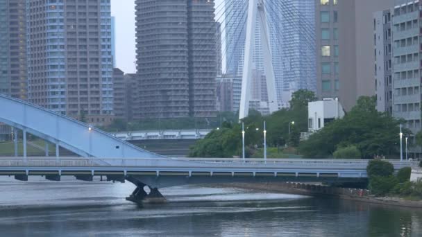 Río Sumida Paisaje Del Tokio — Vídeos de Stock