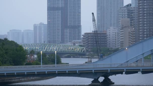 Krajina Řeky Sumida Tokiu — Stock video