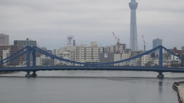 Tokyo Nun Sumida Nehri Manzarası — Stok video