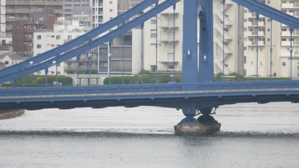 Tokyo Nun Sumida Nehri Manzarası — Stok video