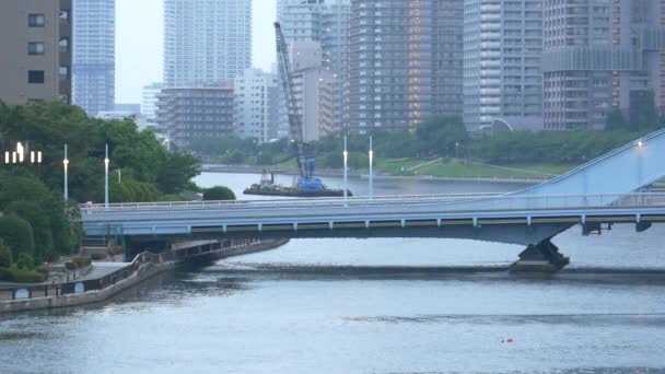 Tokyo Nun Sumida Nehri Manzarası — Stok video