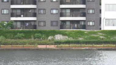 Tokyo Sumida Nehri Peyzajı