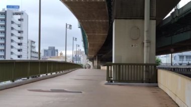 Tokyo Sumida Nehri Peyzajı