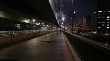 Tokyo Sumida Nehri Peyzajı