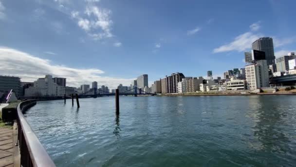 Tokyo Sumida River Landscape — Videoclip de stoc