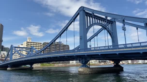 Tokyo Sumida Nehri Peyzajı — Stok video