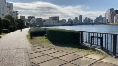 Tokyo Sumida Nehri Peyzajı