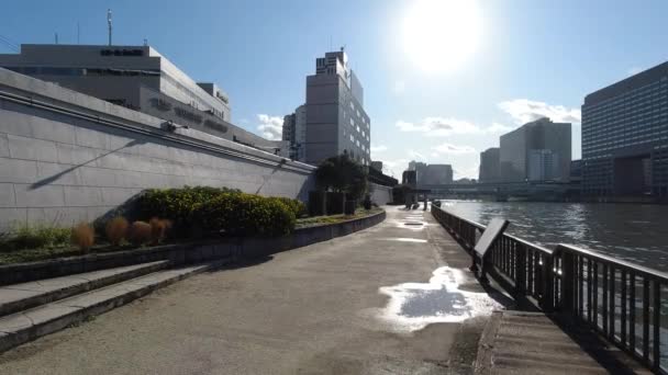 Τοπίο Του Ποταμού Σουμίντα Τόκιο — Αρχείο Βίντεο