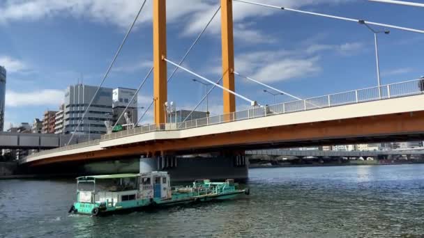 Sumida Flusslandschaft Tokio — Stockvideo