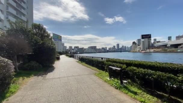 Tokyo Sumida River Landscape — Stock Video