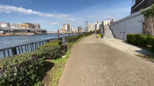 Tokyo Sumida Flodlandskap — Stockvideo
