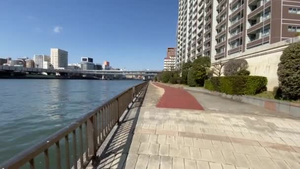 Tokyo Sumida Nehri Peyzajı — Stok video