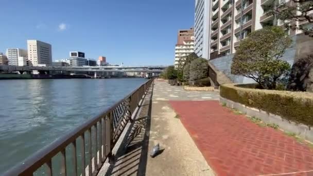 Tóquio Sumida River Paisagem — Vídeo de Stock