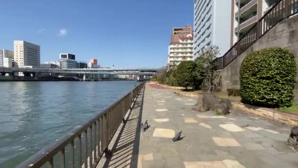 Tóquio Sumida River Paisagem — Vídeo de Stock