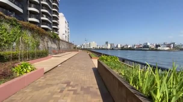 Krajina Řece Tokyo Sumida — Stock video