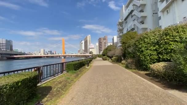 Tokio Sumida River Landschap — Stockvideo