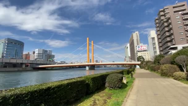 Tokio Sumida River Paisaje — Vídeos de Stock