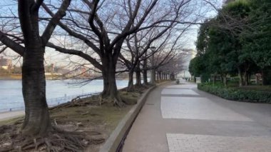 Tokyo Sumida Nehri Peyzajı