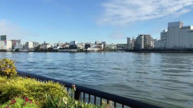 Tokyo Sumida Nehri Peyzajı