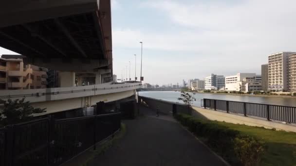 東京隅田川の風景 — ストック動画