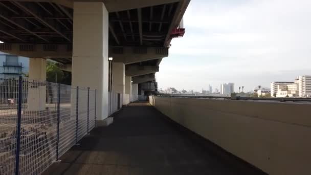 Tokio Sumida River Paisaje — Vídeos de Stock