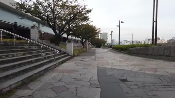 Tokyo Sumida Paesaggio Fluviale — Video Stock