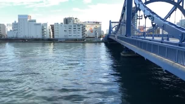 Tokyo Sumida Flodlandskap — Stockvideo