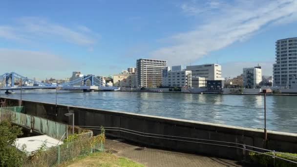 Пейзаж Річки Токіо Суміда — стокове відео