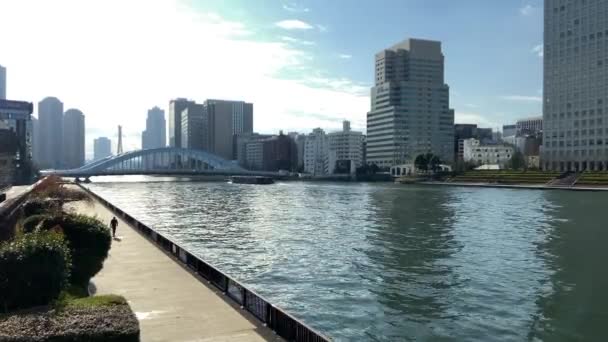 Tokyo Sumida River Landscape — Stock Video