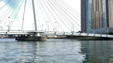 Tokyo Sumida Nehri Peyzajı