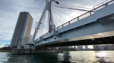 Tokyo Sumida Nehri Peyzajı
