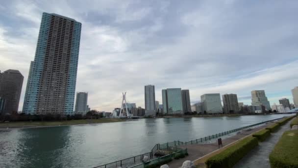 Sumida Flusslandschaft Tokio — Stockvideo