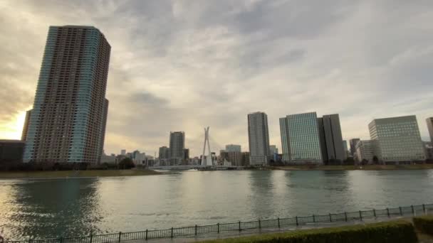 Sumida Flusslandschaft Tokio — Stockvideo