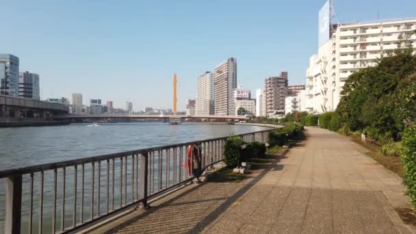 Tokyo Sumida Paesaggio Fluviale — Video Stock