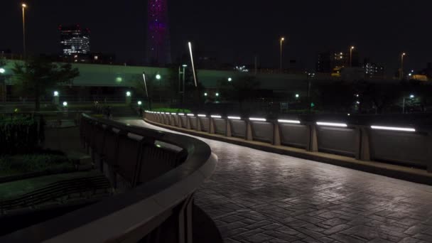Tokyo Sumida River Nachtansicht — Stockvideo