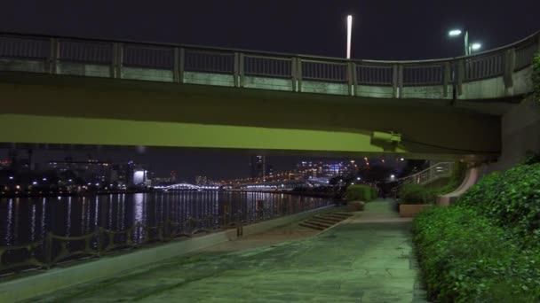 Tokyo Sumida River Night View — Stock video