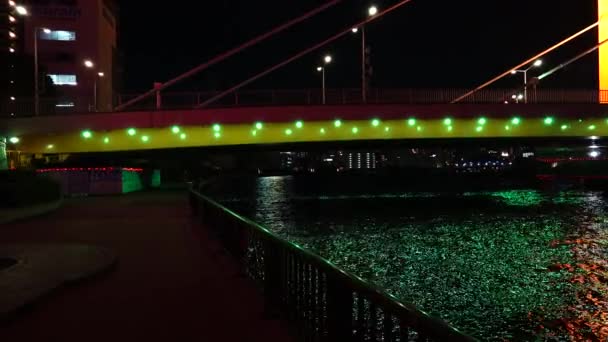 Tokyo Sumida River Night View — Stok Video