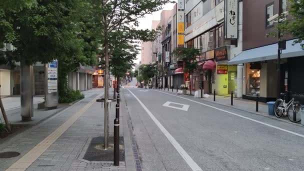 日本のお茶の水 東京景観 — ストック動画