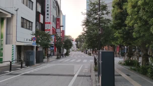 Ochanomizu Japan Tokyo Landskap — Stockvideo