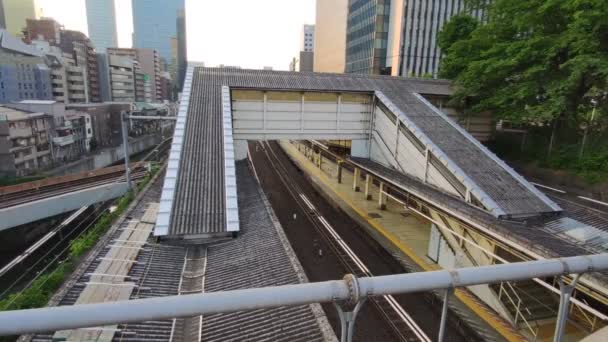 日本のお茶の水 東京景観 — ストック動画