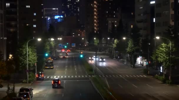 Tokyo Shirokane Takanawa Gece Görüşü 2021 Mayıs — Stok video