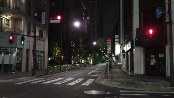 Tokioter Bahnhof Otemachi Marunouchi Night View — Stockvideo
