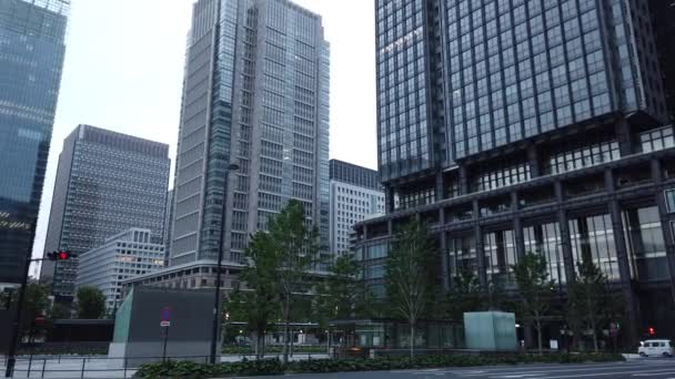 Tokyo Station Otemachi Marunouchi — Stockvideo