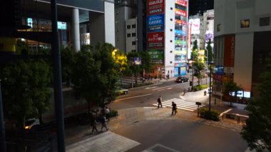 Tokyo Akihabara Gece Görünümü