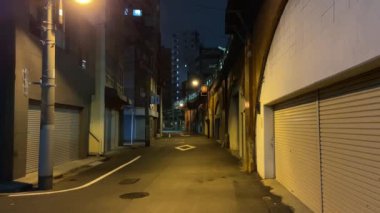 Tokyo Akihabara Gece Görünümü