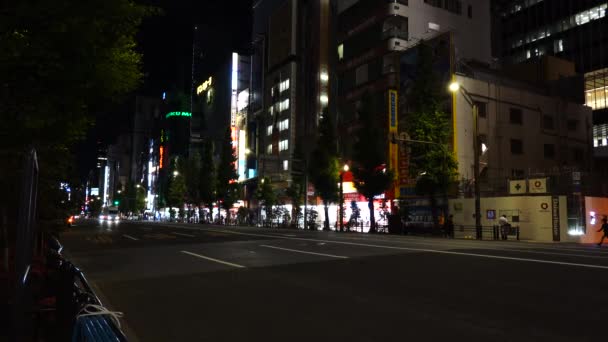 Νυχτερινή Άποψη Του Τόκιο Akihabara — Αρχείο Βίντεο