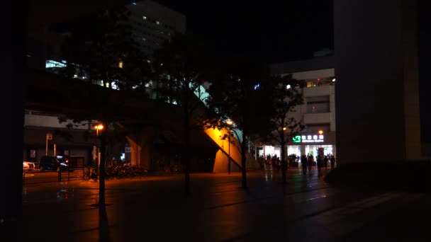 Νυχτερινή Άποψη Του Τόκιο Akihabara — Αρχείο Βίντεο