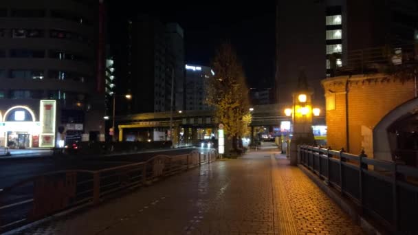 Нічний Погляд Tokyo Акіхабара — стокове відео