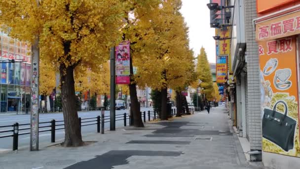 Tokyo Akihabara Tôt Matin — Video